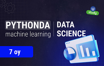 Professional Machine Learning Engineer